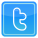 Twitter_Logo_New.png